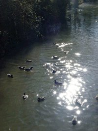 Burwell Lode