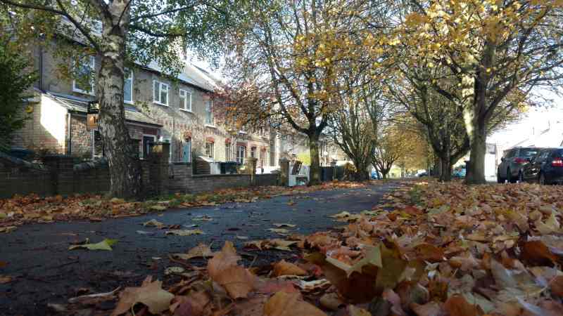 The Causeway, Burwell