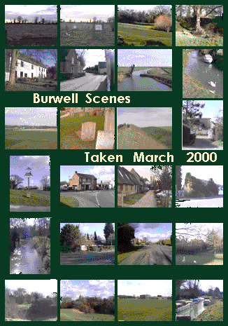 New Burwell Wood